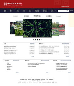 網(wǎng)站與網(wǎng)頁(yè)設(shè)計(jì) 構(gòu)建數(shù)字時(shí)代的視覺(jué)與功能橋梁